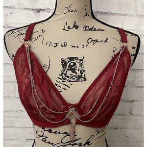 Scantilly By Curvy Kate Unchained Plunge Bra Deep Red USA‎ Size 32G Sexy New